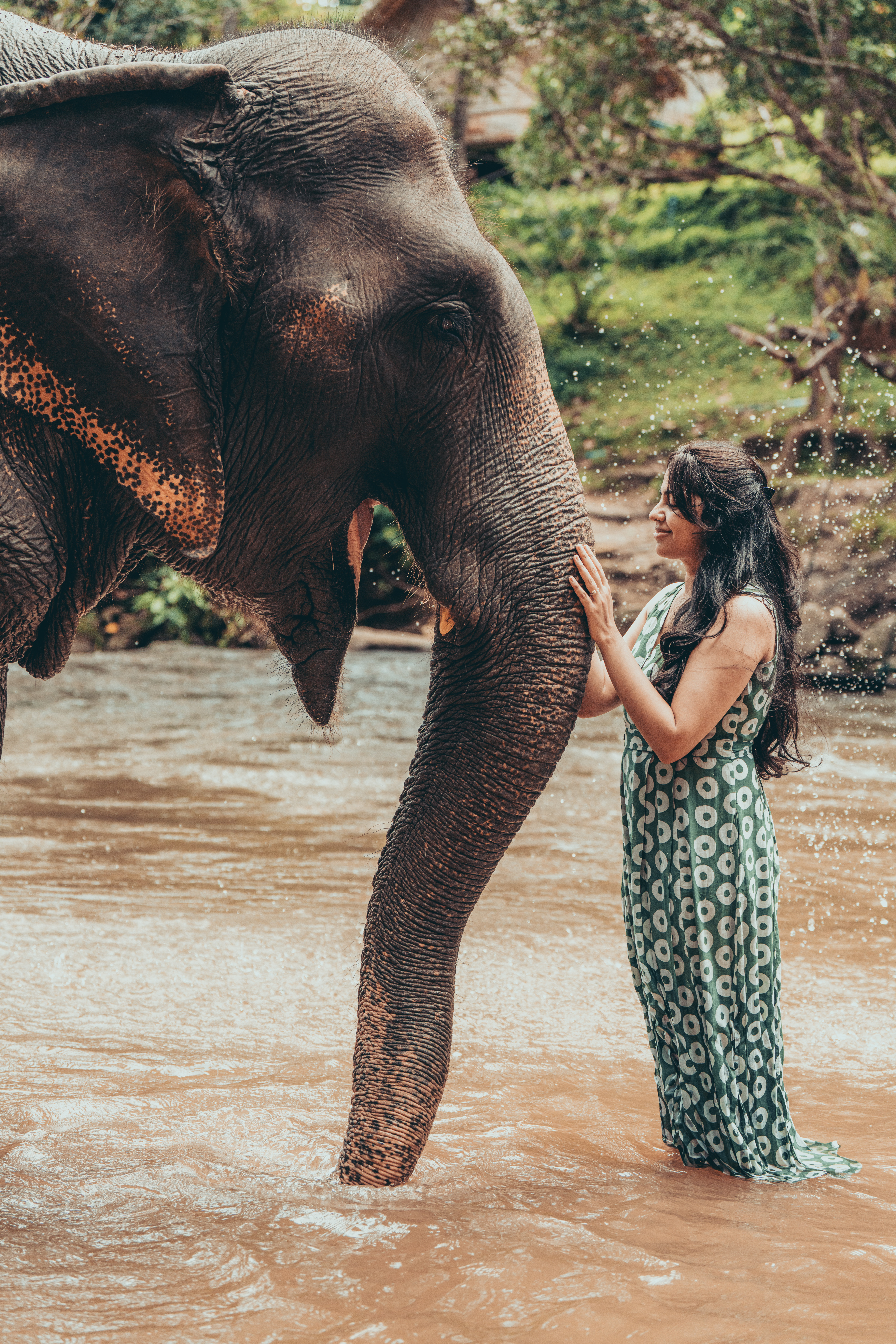 Feeding an elephant at Chai Lai Orchid Sanctuary